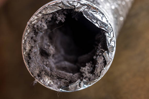 Best Ventilation Cleaning Services  in Wailea, HI