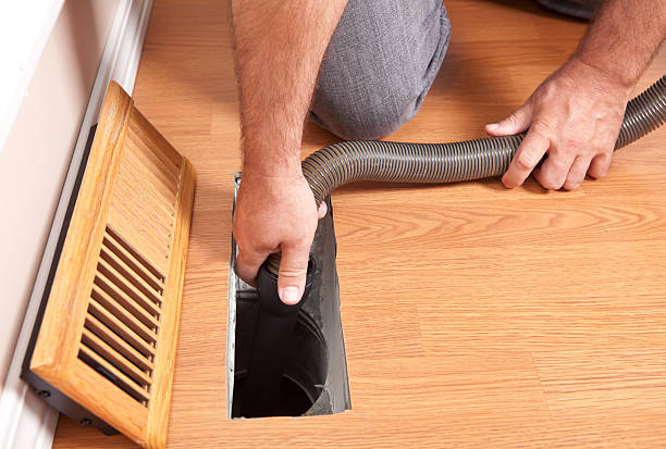 Best Air Duct Mold Removal  in Wailea, HI
