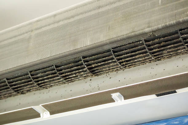 Best Ductwork Cleaning Services  in Wailea, HI