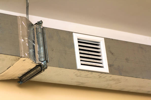 Best Local Air Duct Cleaning Services  in Wailea, HI